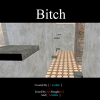 Bitch
